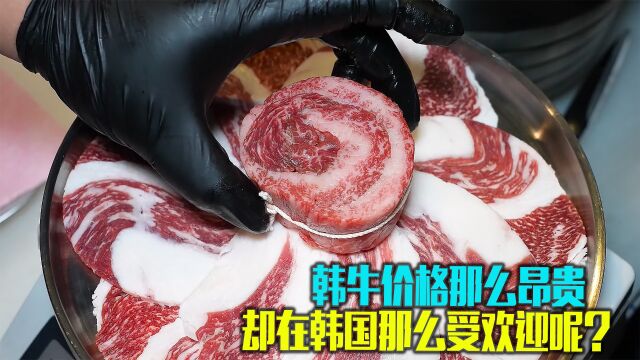 你吃过韩牛吗,它们喂以最精致的饲料,听最舒心的音乐来舒缓心情