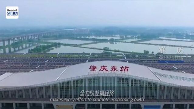 Video|GBA waiting for overseas Chinese