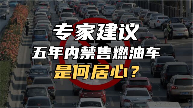 专家瞎建议禁售燃油车!是因为抄顶新能源汽车股被套疯了?