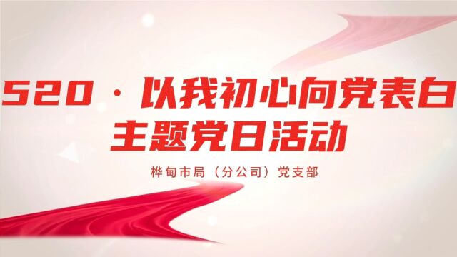 桦甸市局(分公司)党支部开展“520•以我初心 向党表白”主题党日活动