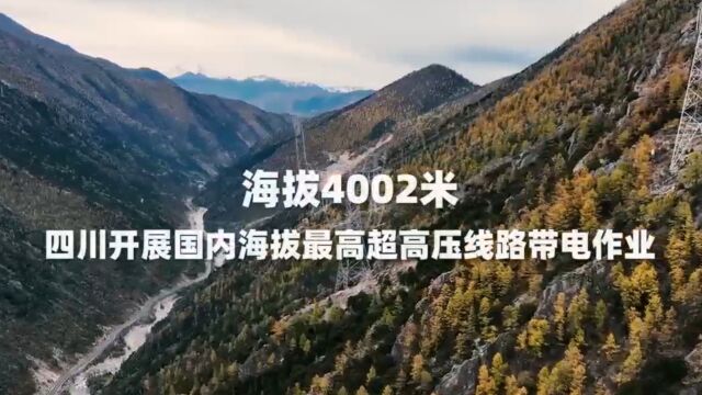 海拔4002米!国网四川电力完成国内海拔最高海拔的带电作业