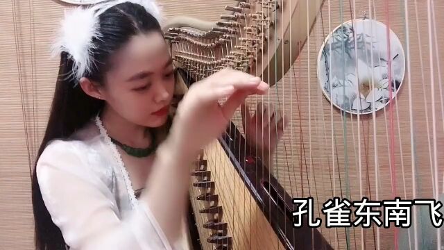 演奏《孔雀东南飞》