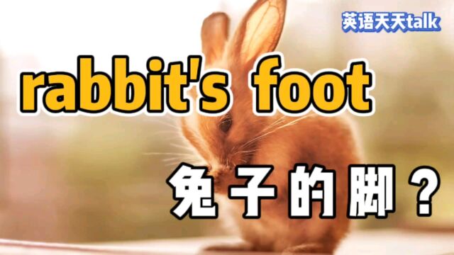 英语口语“rabbit's foot”,真正意思不是“兔子脚”,到底是什么呢?