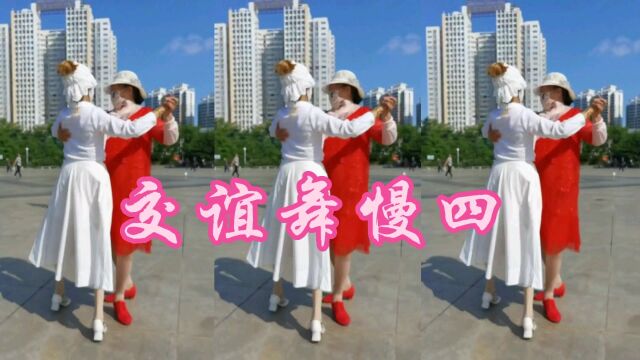 交谊舞慢四《谁懂女人花》