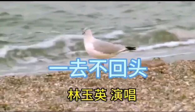 山地歌后林玉英怀旧金曲《一去不回头》