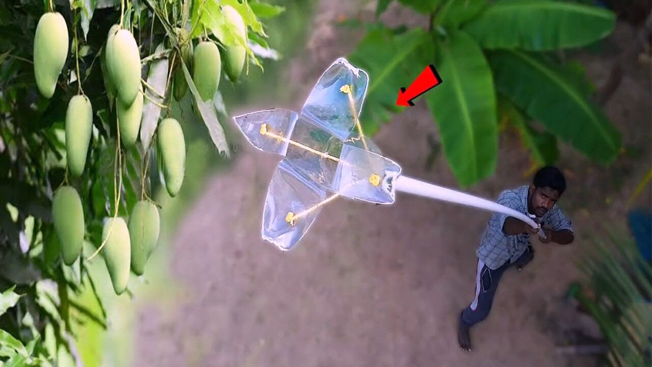 用塑料瓶就能制作一个摘果神器,从而采摘高空的果子也不用搬梯子手工