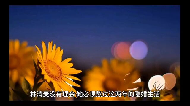 《宝贝乖我低头,战爷追妻又跪了》林清麦小说全文【完结无弹窗】