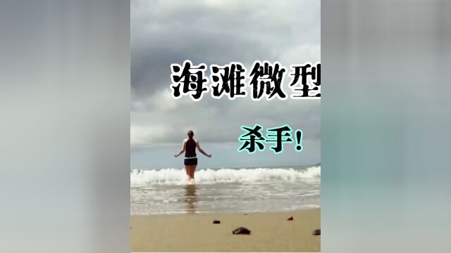 自然探秘:度假海滩上突然出现神秘的微型生物攻击人类!