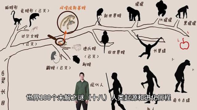 世界100个未解之谜(十八)人类起源和进化历程