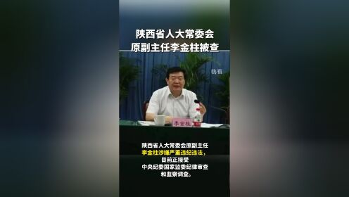 陕西省人大常委会原副主任李金柱被查