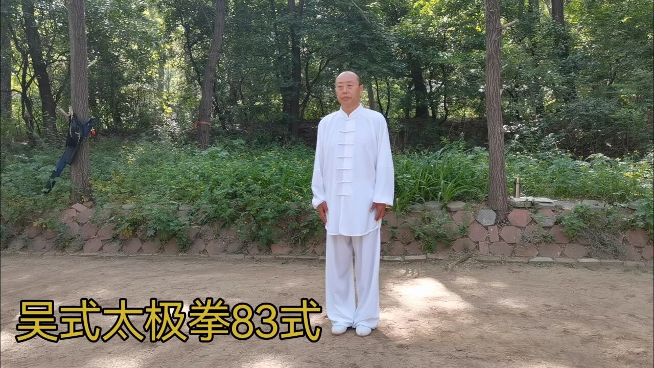 吴式太极拳83式 翟英旭(方医)