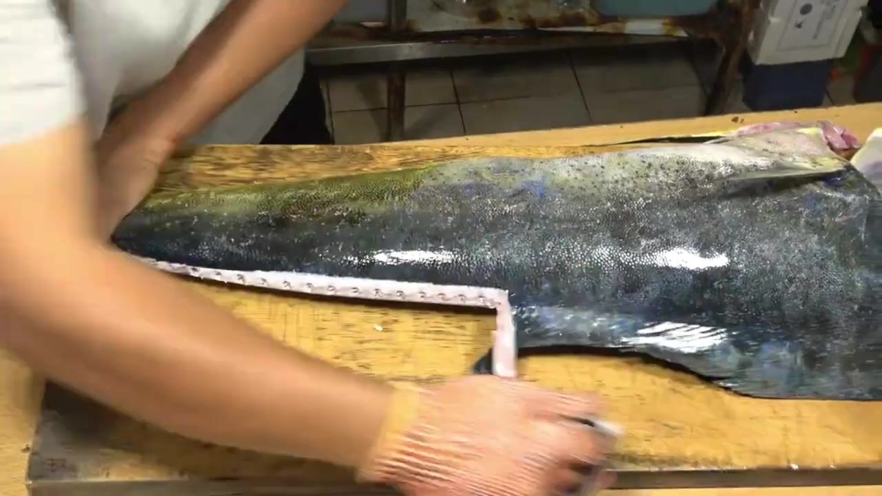 见识一下老板是怎么处理鬼头刀鱼的,这些操作开眼界了,一鱼三吃_高清1080P在线观看平台_腾讯视频