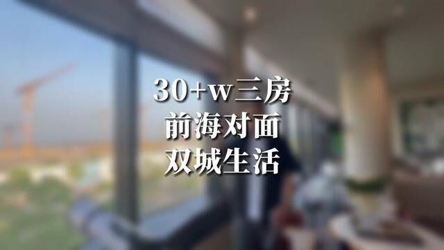 现在的马鞍岛,门口就是港口,会展,商业的超大综合体湾中新城,对面能不能看到前海?