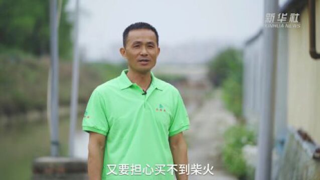 福建漳州:“数智”养殖 电力护航