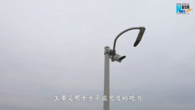 天气预报中的温度、湿度从何而来?