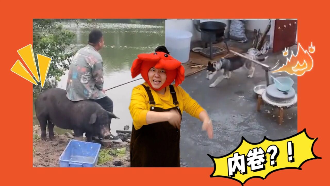 解忧大队的个人页