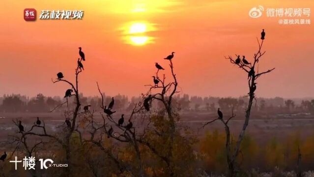 【晚新闻】本周日,石家庄地铁1、2号线运营时间延长丨油价又要变→