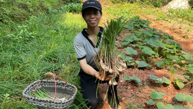 小秀去地里拔藠头,又香又新鲜的荞头,你吃过吗?