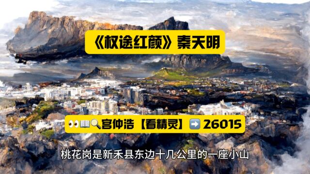 《权途红颜》秦天明全章节在线◇阅读无弹窗