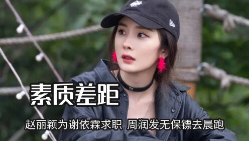 真诚才是永远的必杀技，杨幂为谢依霖求职，周润发无保镖去晨跑