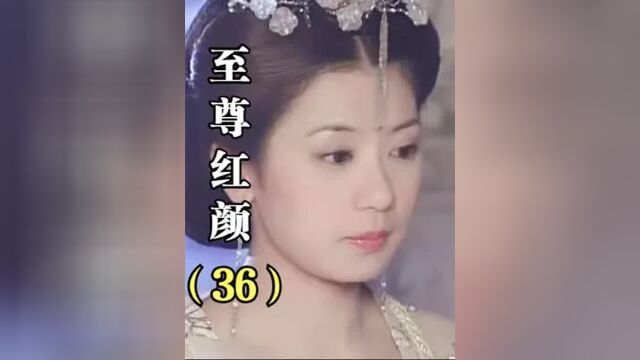 第36集丨至尊红颜:盈盈掩盖自己的罪过,拉皇后下水,真是心机