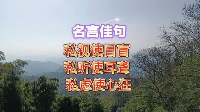 私视使目盲 私听使耳聋 私虑使心狂