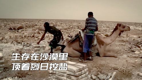 生存在沙漠里，有人喂鬣狗群26年，有人顶着烈日在戈壁滩挖盐