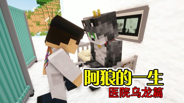 【MC】阿狼英语学得太好,当场把牛顿气活了