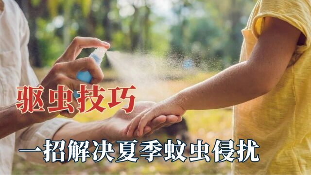 实用的驱虫小妙招,一招解决各种蚊虫隐患,夏天再也不会被侵扰了