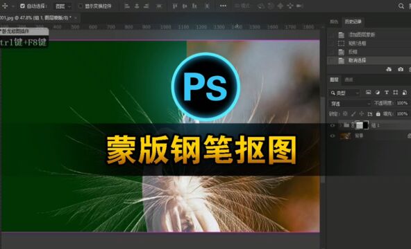 快速掌握 Photoshop 蒙版与钢笔工具,轻松实现完美抠图