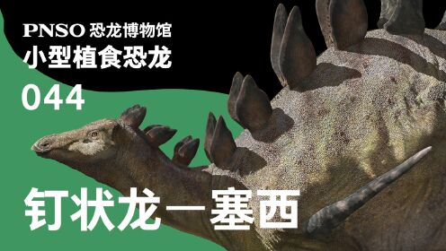 第05集拥有独特骨板的剑龙类恐龙——钉状龙塞西_高清1080P在线观看平台_腾讯视频