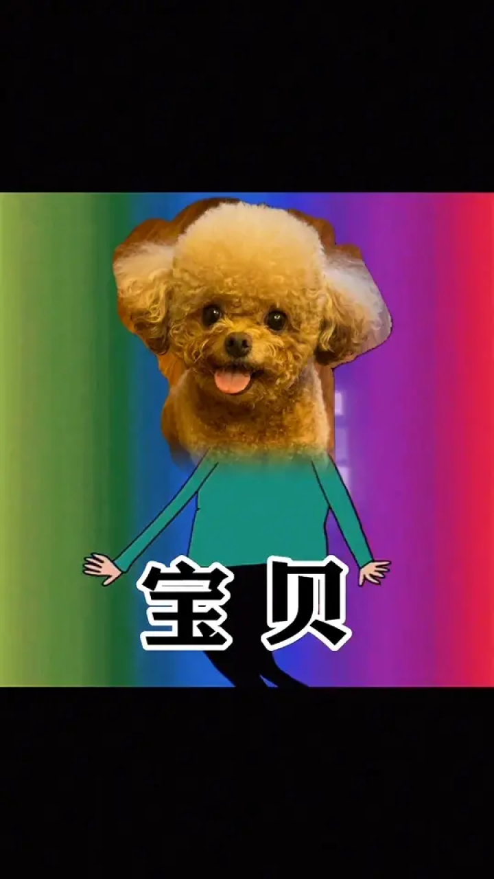 宝贝在干嘛#不养狗不知道养狗的乐趣#精神小狗#傻狗的日常_高清1080P在线观看平台_腾讯视频