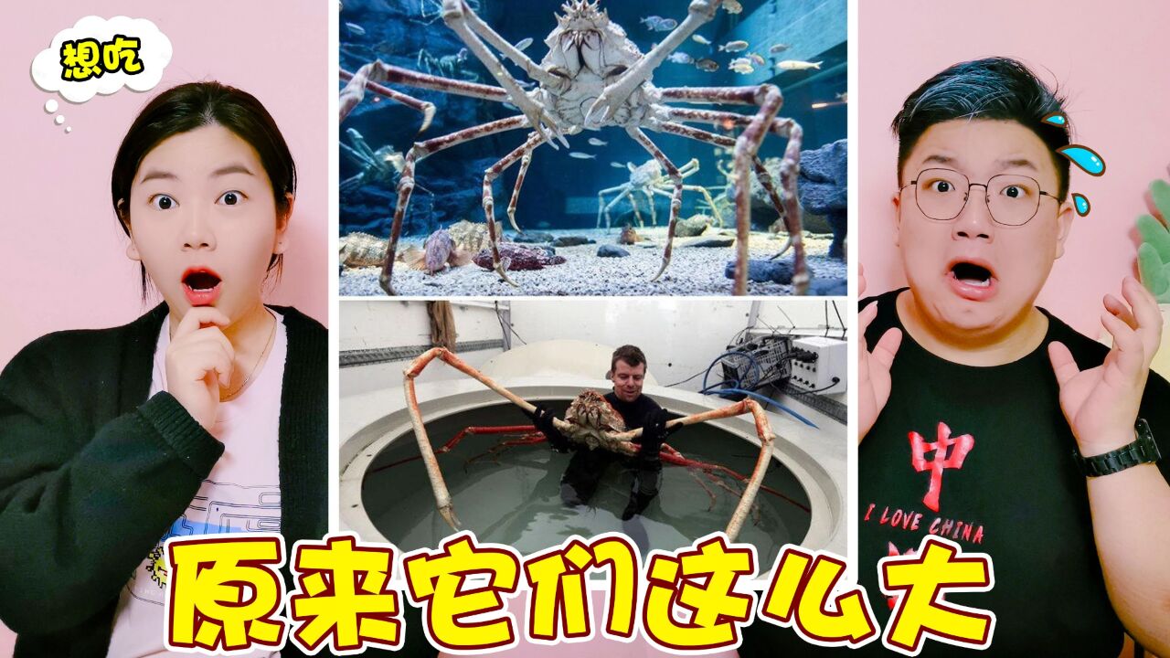 盘点你认为很小实际很大的东西，这螃蟹必人还高，压迫力满满啊_高清1080P在线观看平台_腾讯视频