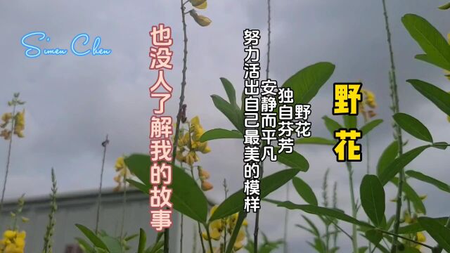 人生除了绚烂的鲜花,其实更多的是无名的野花,开在路边,开在山间,但却默默无闻