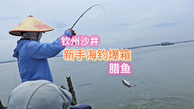 南宁出发钦州沙井坐船海钓,渔获满满