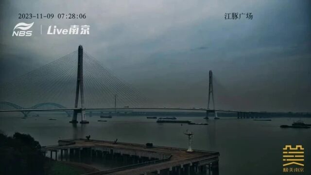 早安南京|这些地方限时免费!赶紧约起来!