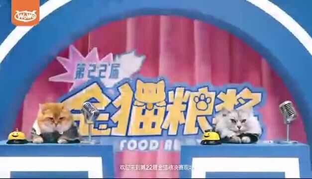 WoWo猫粮,家里喵星人一直吃的猫粮 #wowo猫粮 #猫粮