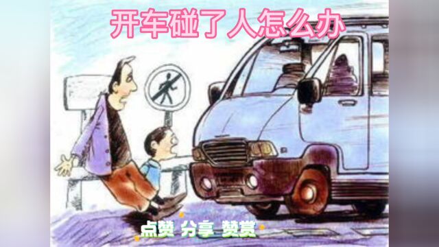 开车碰了人怎么办