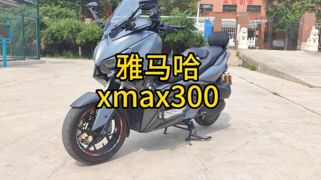 雅马哈xmax300