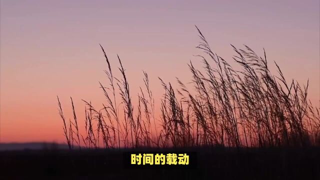 写作:生命的感染力与思考