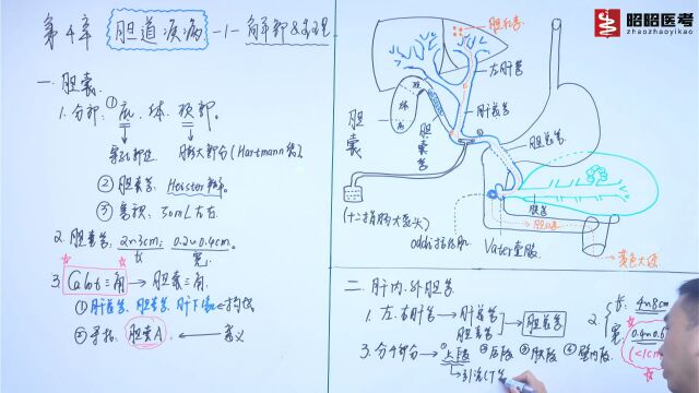 消化系统胆道疾病