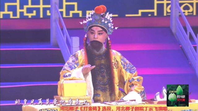 河北梆子《打金砖》选段,河北梆子剧院丁云飞演唱