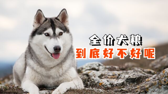 全价犬粮到底好不好呢?优质全价犬粮推荐!