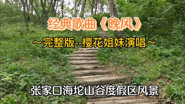 经典歌曲《晚风》完整版 樱花姐妹演唱#张家口海坨山谷风景