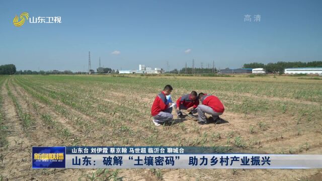 打造乡村振兴齐鲁样板|山东:破解“土壤密码” 助力乡村产业振兴