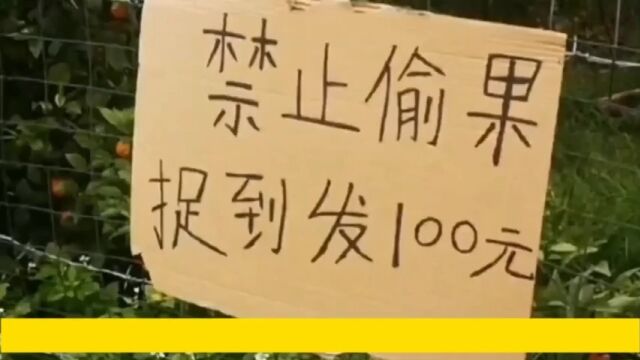 每日一笑消除烦恼果园发钱了?快点去抢啊!