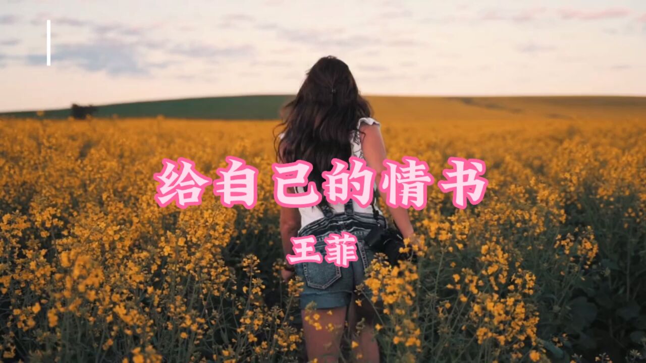 给自己的情书-王菲