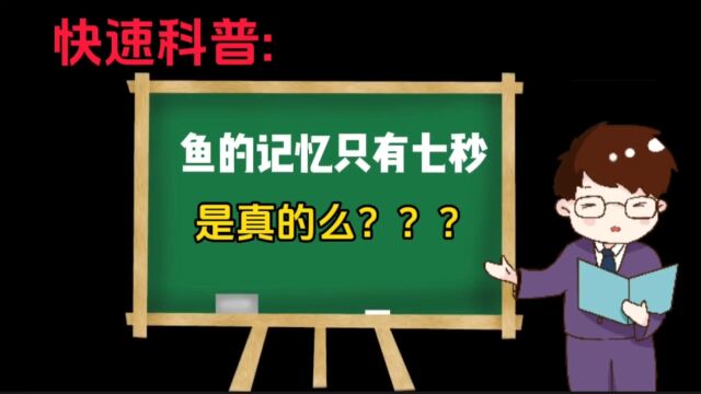 快速科普: 鱼的记忆只有七秒!是真的么