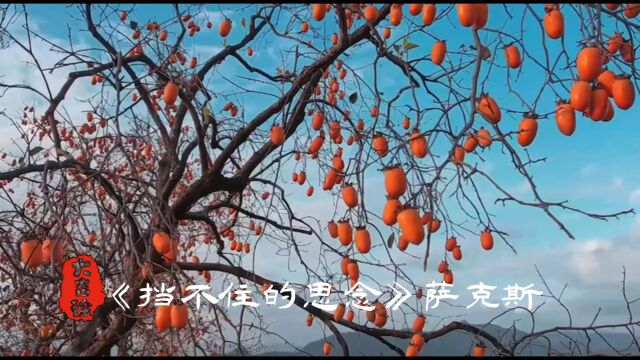 《挡不住的思念》萨克斯|分享画音|