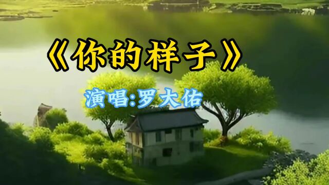 《你的样子》演唱:罗大佑